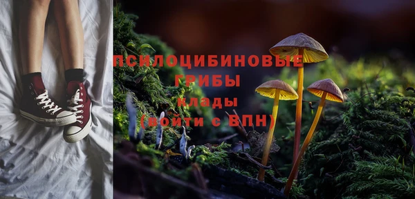 тгк Белокуриха