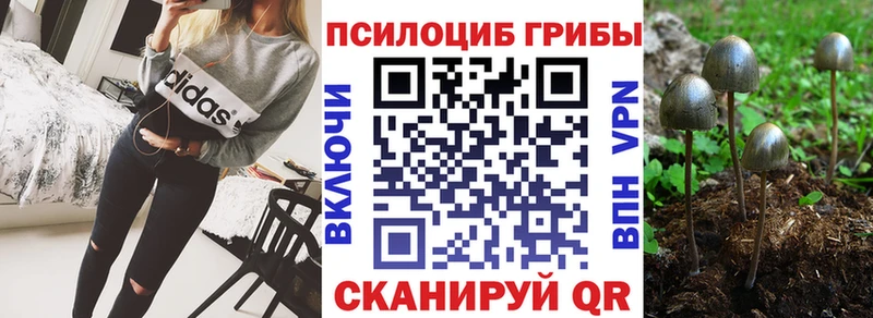 Галлюциногенные грибы Cubensis  Хилок 